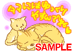 00006.gif