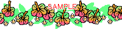 00929.gif