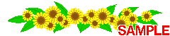 00902.gif