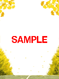 01355.gif